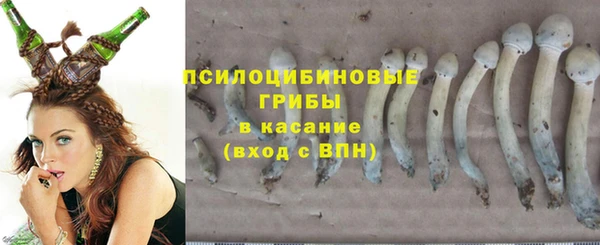 мет Алзамай