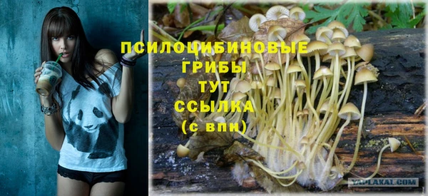мет Алзамай