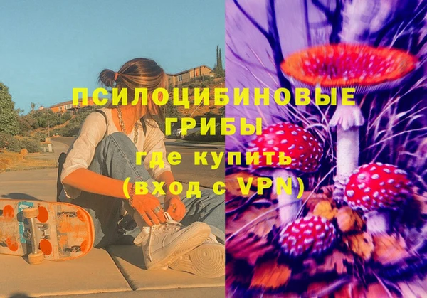 первитин Алексин