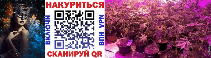 хочу   МЕГА как зайти  Каннабис сатива  Плавск 